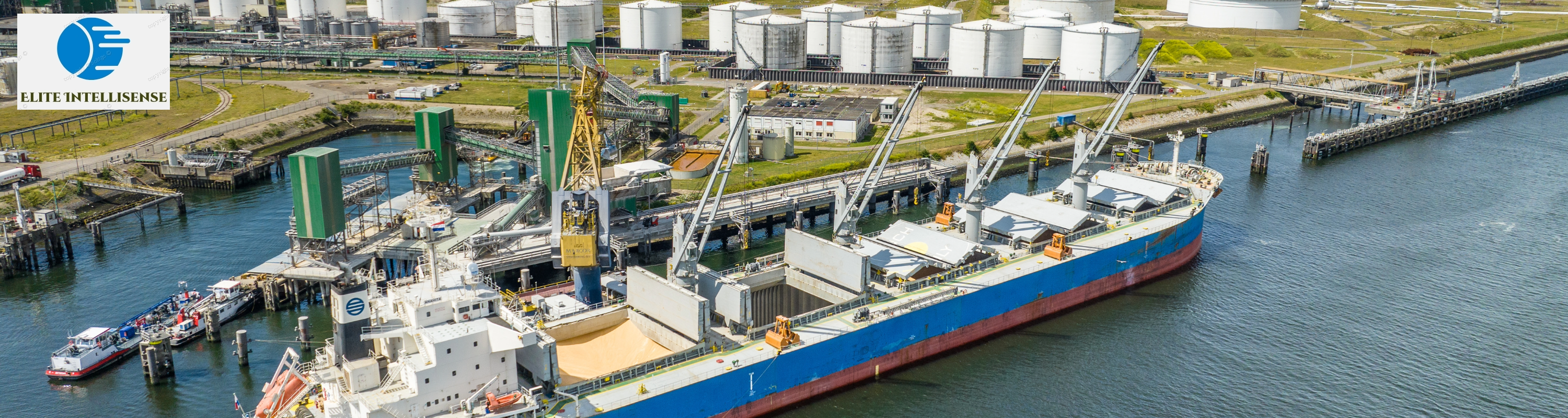 Elite Intellisense Banner