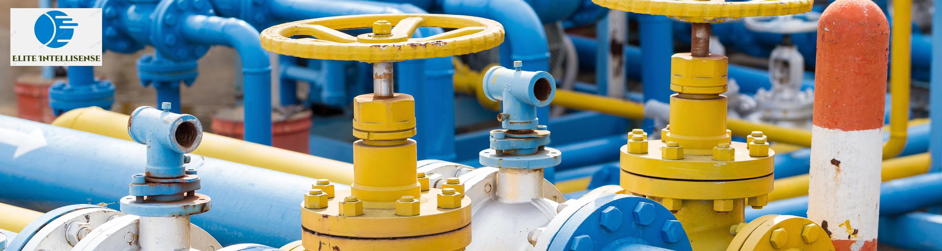 Elite Intellisense Banner