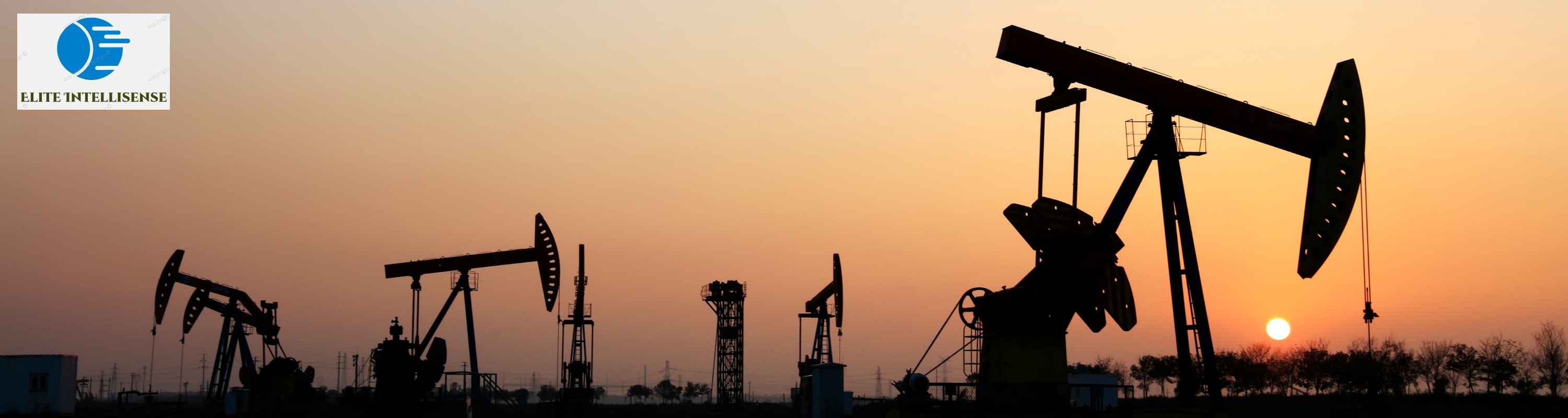 Elite Intellisense Banner